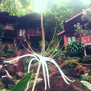 Resort Hill, Ko Phi Phi